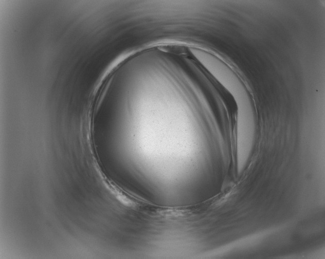 X0000080790862200701021222