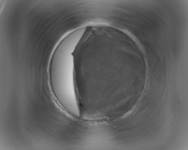 X0000080790864200701021222