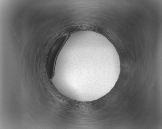 X0000080790865200701021221