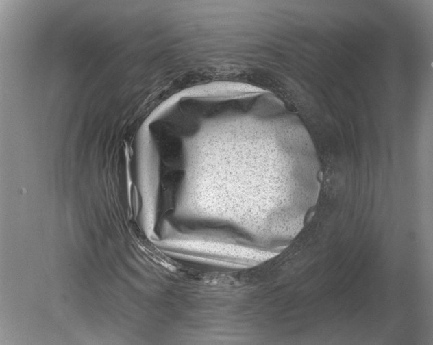 X0000080790866200701021221