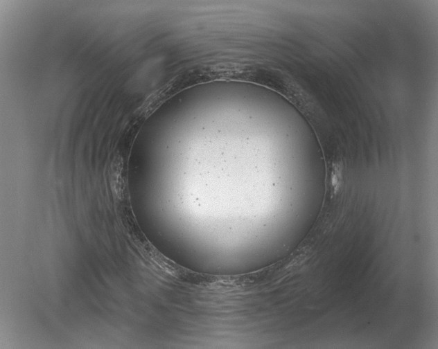X0000080790867200701021221