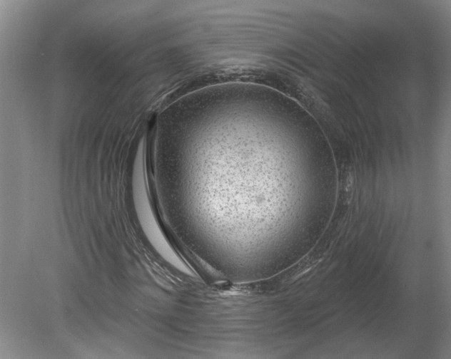 X0000080790868200701021221