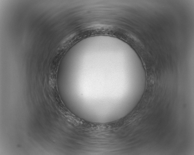 X0000080790869200701021221