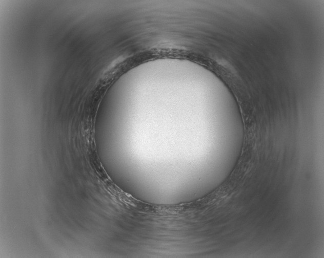X0000080790870200701021221