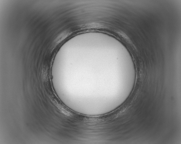 X0000080790873200701021221