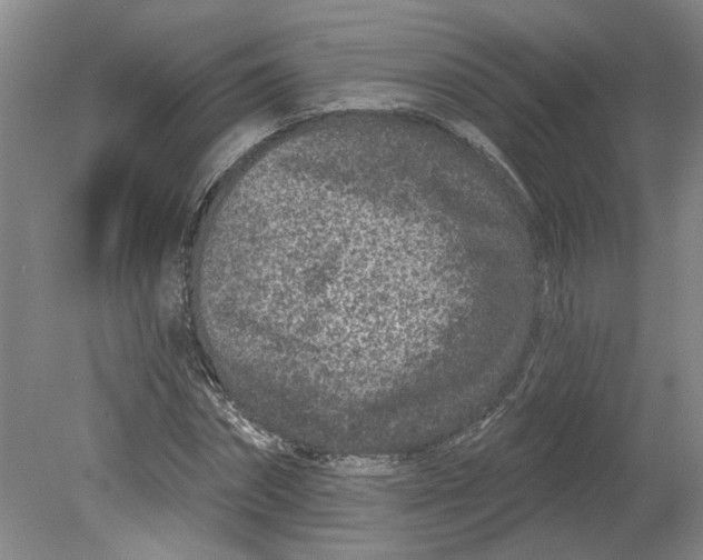 X0000080790874200701021221