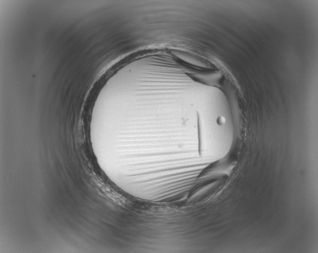X0000080790876200701021221