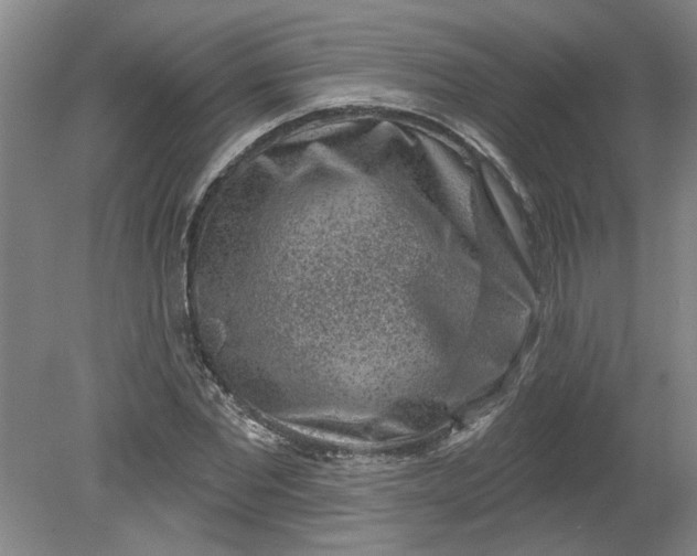 X0000080790877200701021221