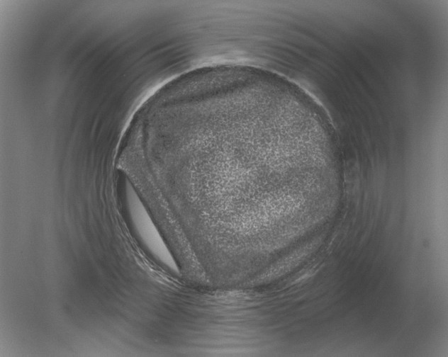 X0000080790879200701021221