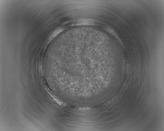 X0000080790882200701021221