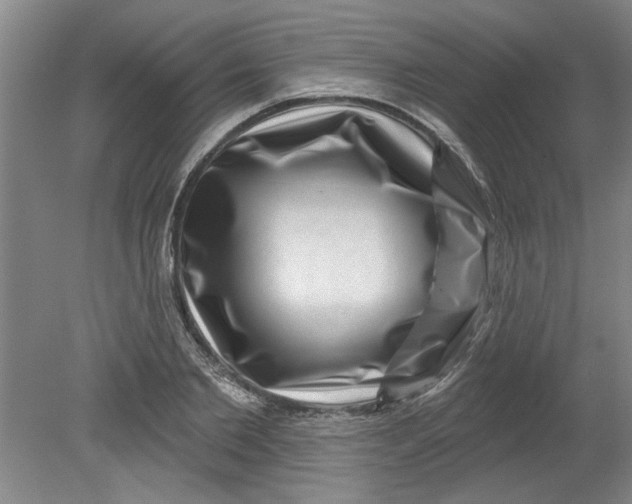 X0000080790885200701021221