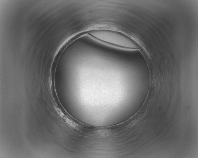 X0000080790888200701021221