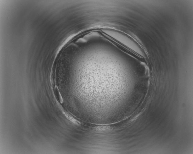 X0000080790893200701021221