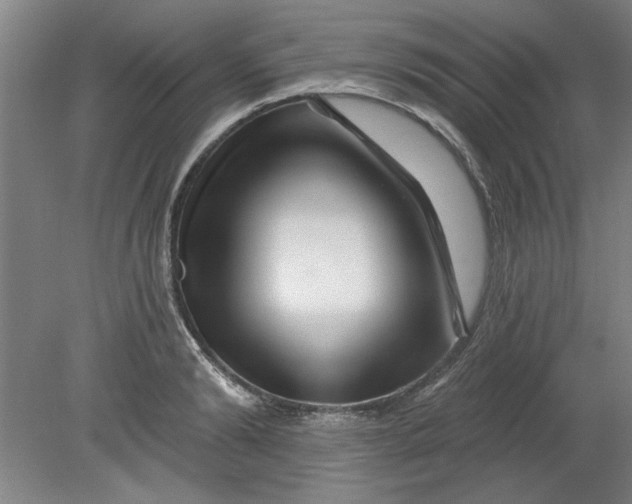 X0000080790894200701021221