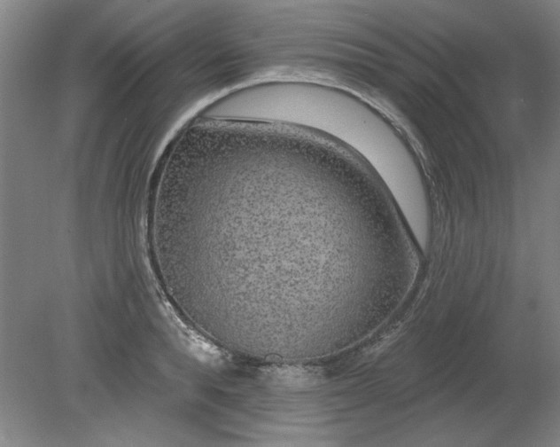X0000080790896200701021221