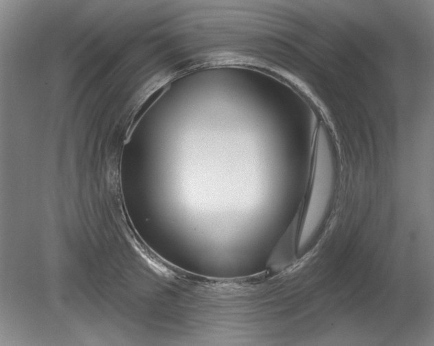 X0000080790897200701021221