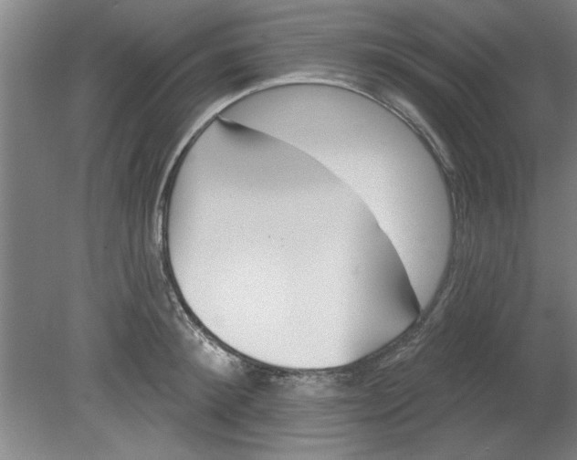 X0000080790900200701021221