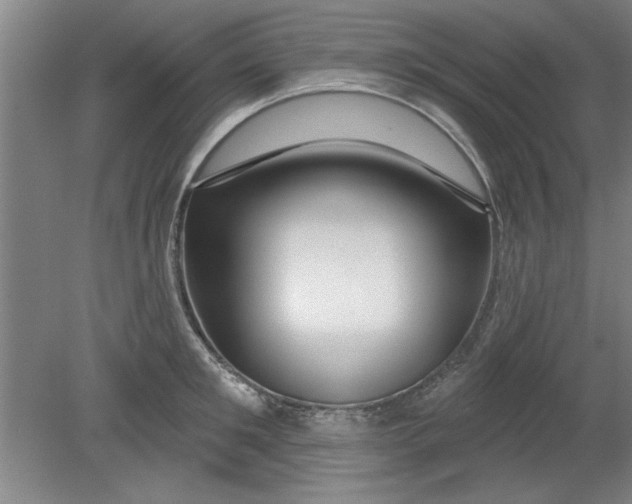 X0000080790901200701021221