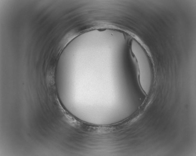 X0000080790905200701021221