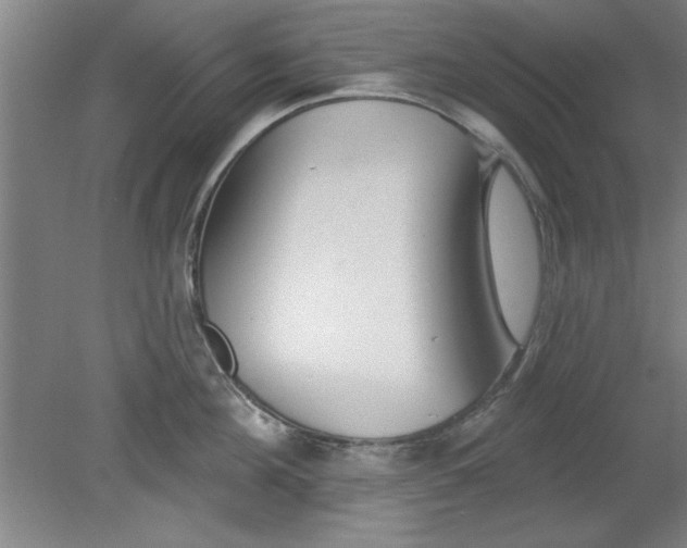 X0000080790908200701021221