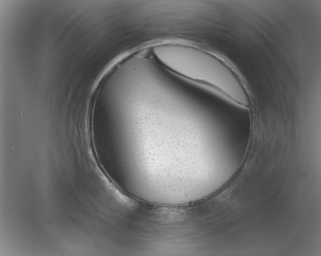 X0000080790910200701021221