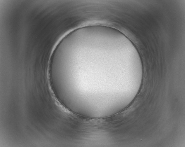 X0000080790912200701021221