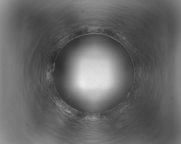 X0000080790914200701021220