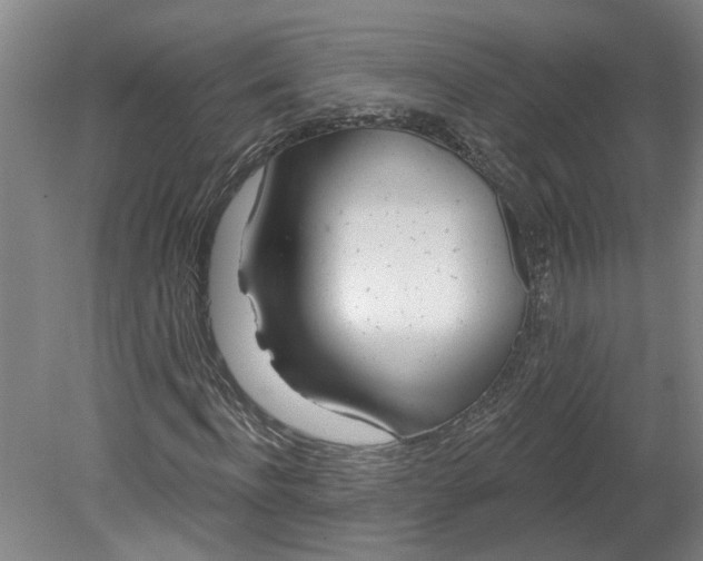 X0000080790916200701021220