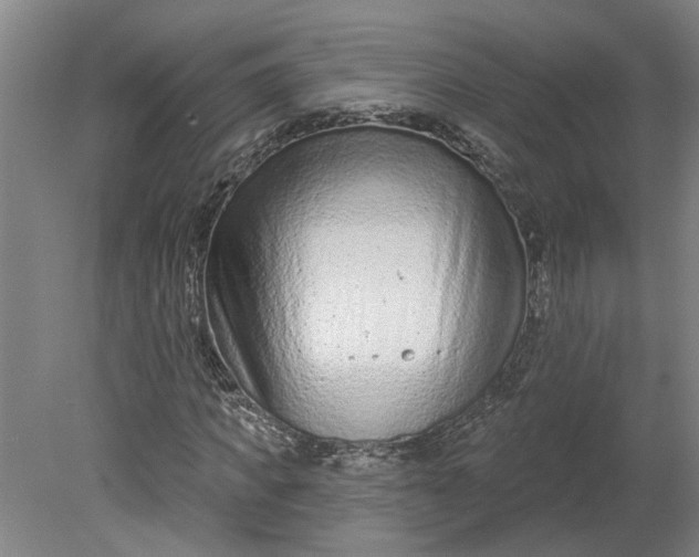 X0000080790917200701021220