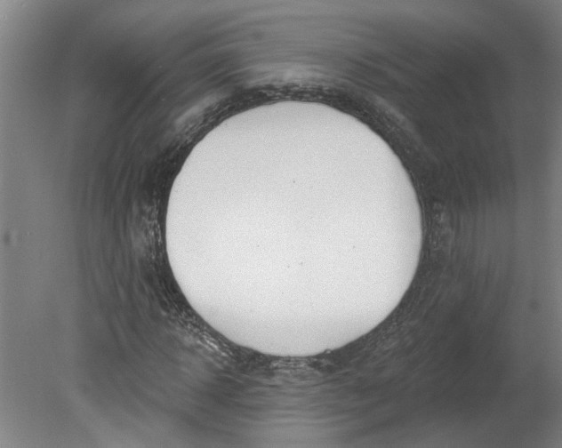 X0000080790918200701021220