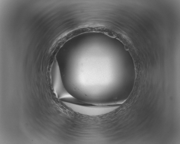 X0000080790920200701021220