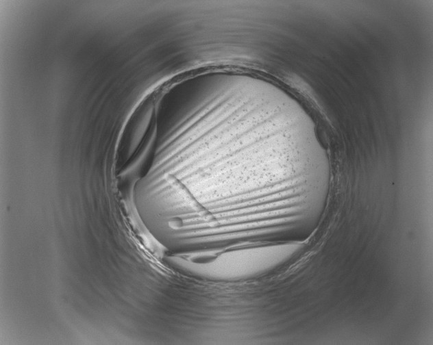 X0000080790924200701021220