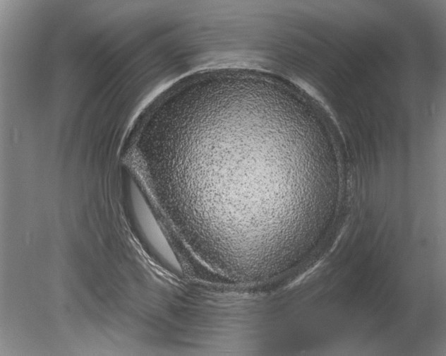 X0000080790925200701021220