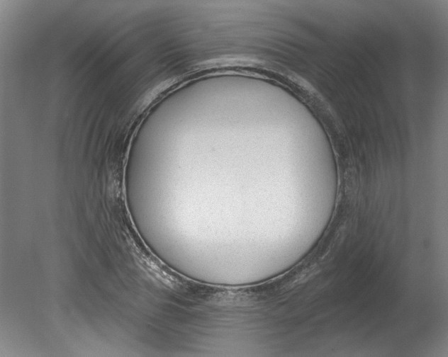 X0000080790929200701021220
