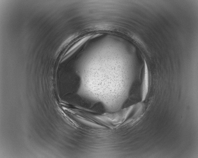 X0000080790930200701021220