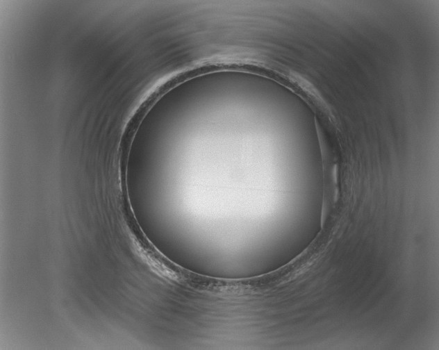X0000080790934200701021220