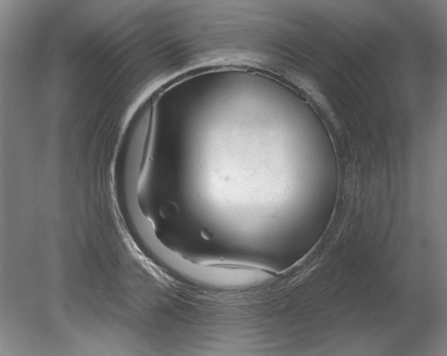 X0000080790936200701021220