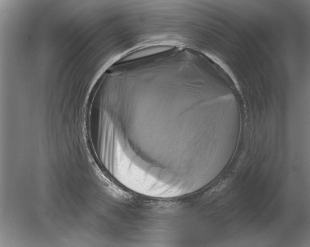 X0000080790941200701021220