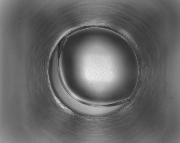 X0000080790942200701021220