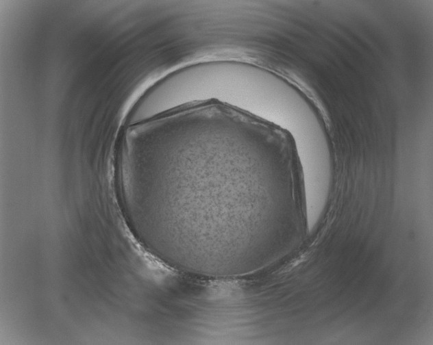 X0000080790944200701021220