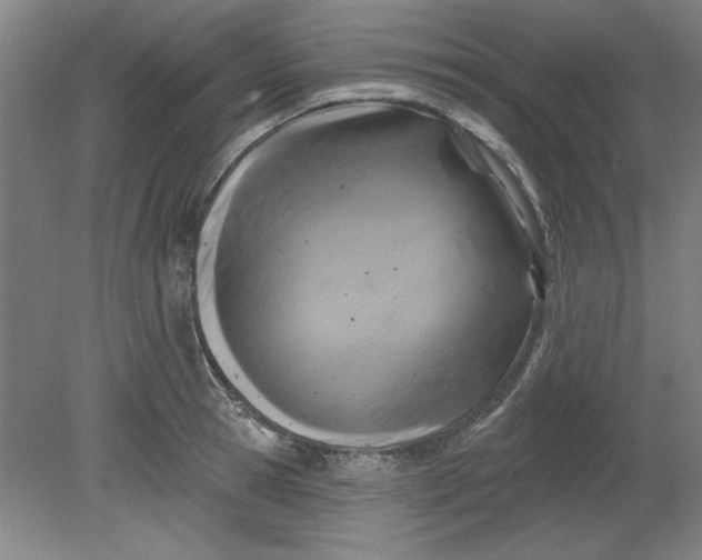 X0000080790945200701021220
