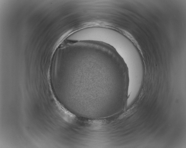 X0000080790946200701021220