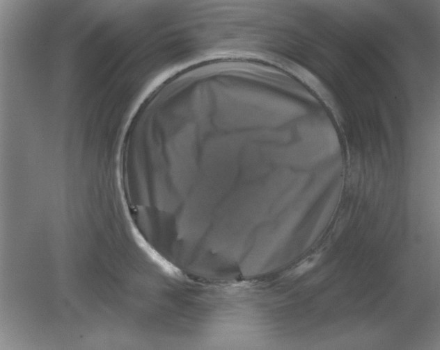 X0000080790958200701021221