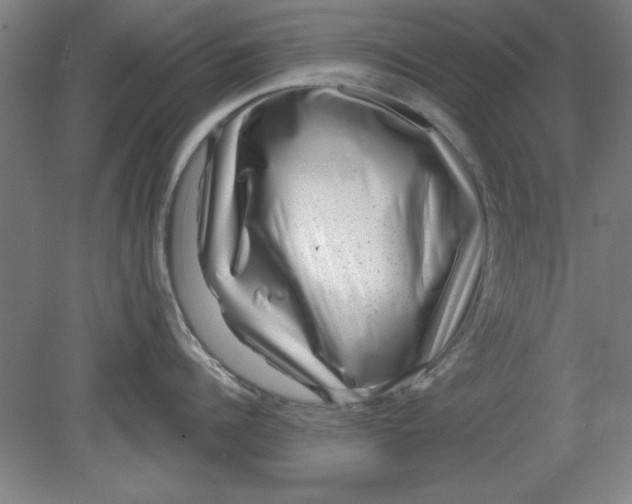 X0000080790960200701021221