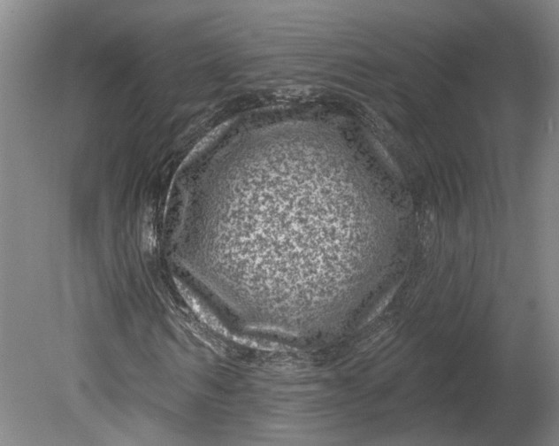 X0000080790962200701021220