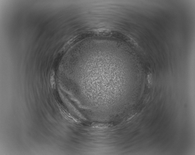X0000080790963200701021220