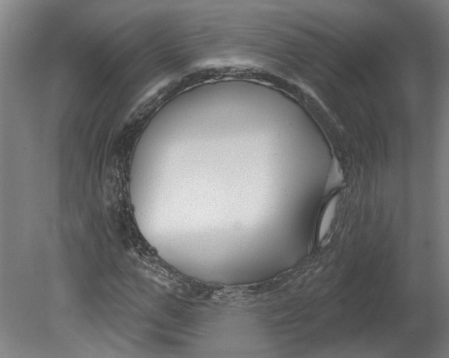 X0000080790967200701021220