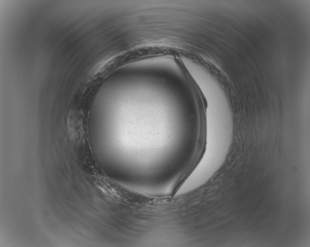 X0000080790968200701021220