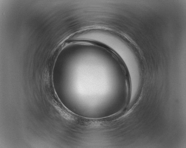 X0000080790969200701021220