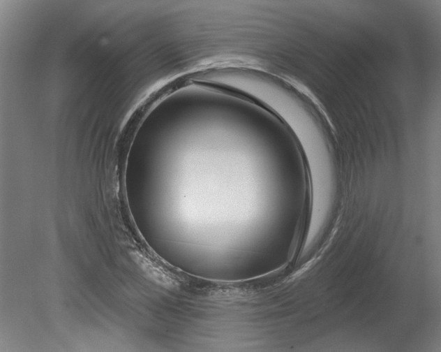 X0000080790973200701021220